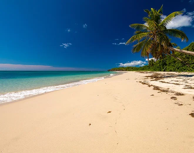 principale martinique plage saline list 