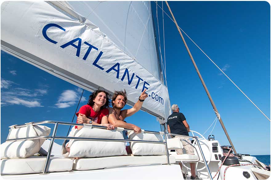 catlante